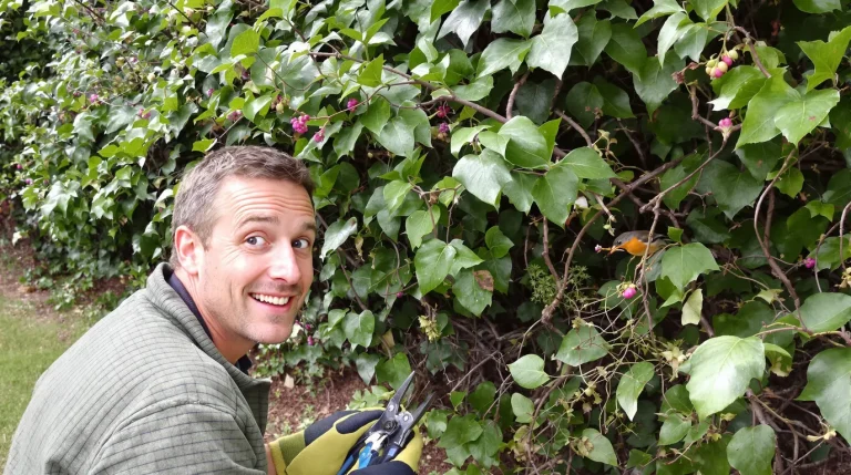 J'ai changé un seul détail dans mon jardin : depuis, les oiseaux viennent nicher chaque printemps